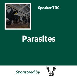 Parasites (Sponsored by Steerhead)