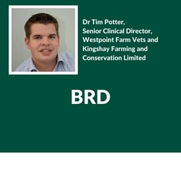 BRD, Dr Tim Potter, Senior Clinical Director, Westpoint Farm Vets and Kingshay Farming and Conservation Limited