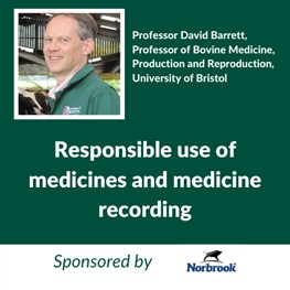 Responsible Medicines (Sponsored by Norbrook), Professor David Barrett, Professor of Bovine Medicine, Production and Reproduction, Bristol Veterinary School, University of Bristol